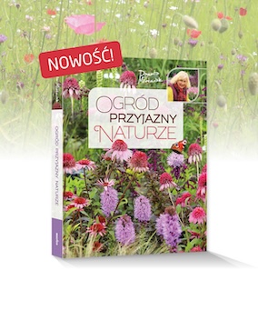 Ogród przyjazny