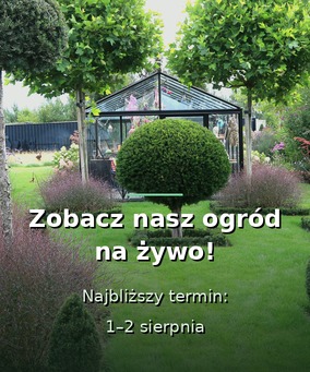 Zobacz nasz ogród na żywo - 1 i 2 sierpnia
