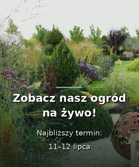Zobacz nasz ogród na żywo - 11 i 12 lipca