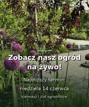 Zobacz nasz ogród na żywo - niedziela 14 czerwca, kiermasz i zlot ogrodników