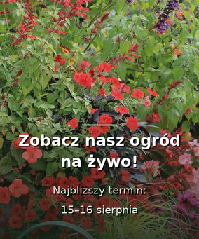 Zobacz nasz ogród na żywo - 15 i 16 sierpnia
