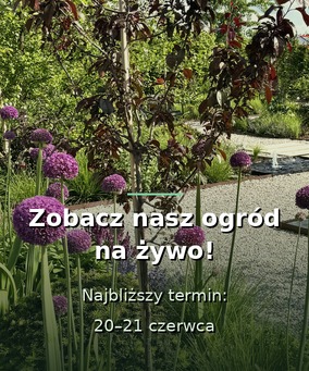 Zobacz nasz ogród na żywo - 20 i 21 czerwca