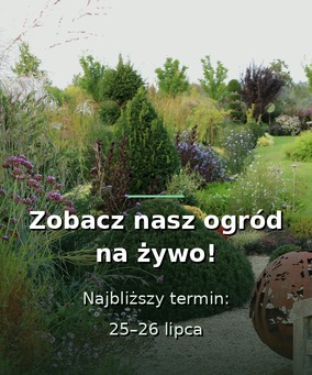 Zobacz nasz ogród na żywo - 25 i 26 lipca