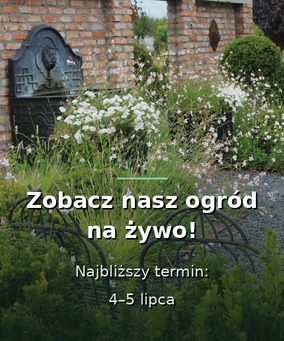 Zobacz nasz ogród na żywo - 4 i 5 lipca