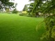 Ogromny trawnik w angielskim ogrodzie  nienagannie pielęgnowany