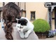 "Groźny" kot, który niesamowicie wprost polubił Agnieszkę i jej włosy