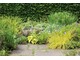 Kamienny zbiornik z wodą i atrakcyjne nasadzenia. Żółty kolor reprezentuje Carex elata "Aurea"