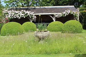  Oaza spokoju - Font Garden