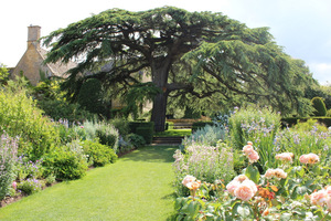 Długie rabaty bylinowe w tonacji różowo-niebiesko-biało-morelowej (Old Garden)