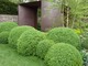 Ogród mojego ulubionego projektanta : sponsor Laurent - Perrier Garden, proj. Tom Stuart-Smith