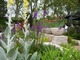 The Daily Telegraph Garden, projekt Andy Sturgeon