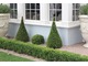 Eleganckie topiary przy domu