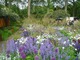 Daily Telegraph Garden, projekt Tom Stuart-Smith -  to najlepszy ogród, złoty medal i Best in Show. Charakteryzuje się modernistyczną geometrią i użyciem postmodernistycznych materiałów