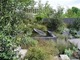 Ogród z Nowej Zelandii, projekt Xanthe White. Ponad 1000 roślin wusłano na Chelsea z Nowej Zelandii, potem po wystawie te rośliny wysłano do RHS Wisley