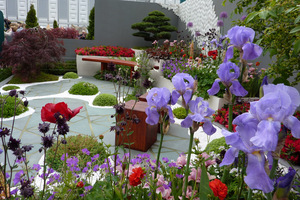Kwiaty irysów są dekoracyjnym symbolem wiosny i występują w wielu kolorach