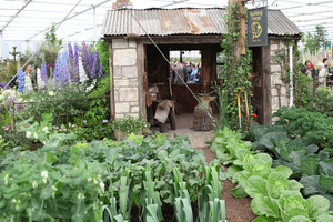 Pokazowy warzywnik na Wystawie Chelsea Flower Show