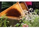 Pszczoły oprócz zapylania kwiatów, produkują miód