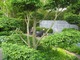 The Laurent-Perrier Garden, projekt Tom Stuart-Smith