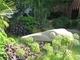 The Marshalls Garden That Kids Really Want !