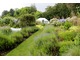 Angielski ogród z lawendą na mieszanych rabatach