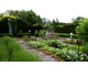 Ogród ziołowy otoczony żywopłotami (Tilford Cottage Garden)