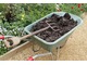 Kompostem warto wzbogacić każdą rabatę nie tylko przed sadzeniem roślin, ale także ściółkując glebę