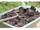 Glebę użyźniamy przy pomocy kompostu, obornika i torfu, które rozsypujemy po terenie i dokładnie mieszamy