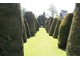 Początki słynnego ogrodu Yew datują się od XVII wieku, kiedy to Jan Fetherston posadził dwanaście cisów symbolizujących dwunastu apostołów