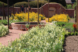 Kitchen Garden