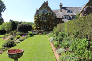 Holly Hedge Border