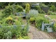 Ogródek ziołowy z różnymi elementami pomalowanymi na niebiesko