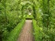 Romantyczny tunel w Cottage Garden