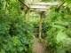Zaciszna pergola, a pod nią ławka