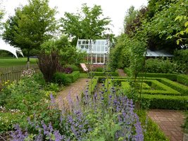 Bukszpanowy zawijas w centralnej części A'Cottage Garden