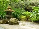 Latarenka w japońskim ogrodzie