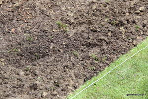 Potem użyźniami glebę kompostem, lekko go przekopując z gruntem rodzimym, wyrównujemy i gotowe