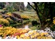 Wielkie okazy różaneczników w ogrodzie Leonardslee w Kornwalii