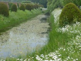 Nad fosą rosna cisowe topiary i kwietna łąka