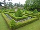 Ogród parterowy z bukszpanem i srebrnolistną santoliną
