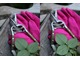 Sekator - nożyce do precyzyjnego przycinania róż