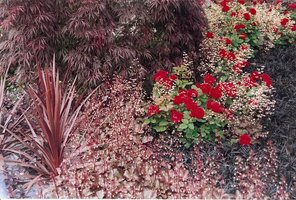 Najładniejszy ogród w ciemnych barwach widziałam na Chelsea Flower Show 