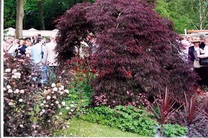 Chelsea Flower Show