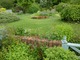 Widok z ziołowego ogródka