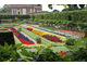 Ogrody przy Pałacu Hampton Court