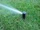 System nawadniający jest niezbędny zwłaszcza przy dużych powierzchniach trawnika