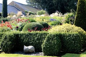 Starannie przystrzyżone żywopłociki i topiary