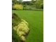 Faliste linie trawnika w ogrodzie w stylu nieregularnym