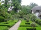 Bukszpan w angielskim ogrodzie o wiejskim charakterze