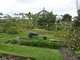 Widok na ogród warzywny