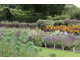 Specjalnie wydzielone prostokątne poletka, które służą do wysiewów bylin (Waterperry Gardens)